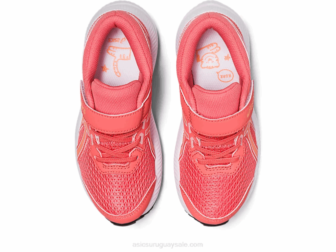 Asics contend 8 preescolar duna de papaya verano zapatillas cómodas para niños - Image 6