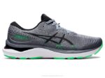 Asics cúmulo de gel 24 zapatillas deportivas yeso negro