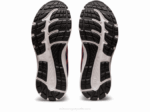 Asics Gel Contender 8 Azul Índigo y Papaya para Correr - Image 7