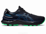 Asics Gel Cumulus 24 GTX Zapatillas Costa Negra Azul