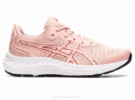 Asics Gel Excite 9 Zapatillas Rosa Helada y Arándano