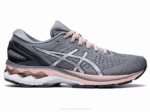 Asics Gel Kayano 27 Ancho Zapatillas Running Yeso Plata