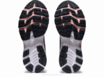 Asics Gel Kayano 27 Ancho Zapatillas Running Yeso Plata - Image 7