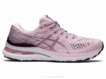 Asics Gel Kayano 28 Ancho Rosa Blanco Comodidad y Estilo