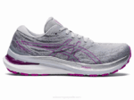 Asics gel-kayano 29 ancho gris piedmont y orquídea