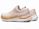 Asics gel-kayano 29 deportivas beige mineral y champán - Image 3