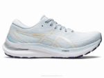 Asics Gel Kayano 29 Zapatillas Anchas Cielo Champaña 2023