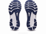 Asics Gel Kayano 29 Zapatillas Anchas Cielo Champaña 2023 - Image 7