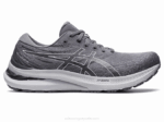 Asics Gel Kayano 29 Zapatillas Anchas Metrópolis Blanco