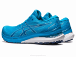 Asics Gel Kayano 29 Zapatillas Ancho Isla Azul Blanco - Image 3