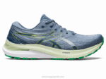 Asics Gel Kayano 29 Zapatillas Azul Acero Ralladura Lima