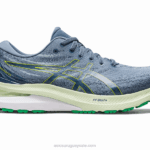 Asics Gel Kayano 29 Zapatillas Azul Acero Ralladura Lima