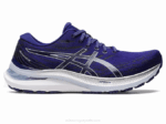 Asics Gel Kayano 29 Zapatillas Buceo Azul Cielo Suave
