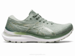 Asics Gel Kayano 29 Zapatillas Gris Pizarra Champán Cómodas y Estilizadas