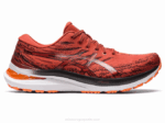 Asics Gel Kayano 29 Zapatillas Latte de Especias y Negro