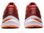 Asics Gel Kayano 29 Zapatillas Latte de Especias y Negro - Image 5