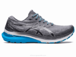 Asics Gel Kayano 29 Zapatillas Running Metrópolis Blanco