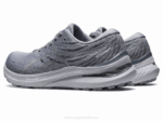 Asics Gel Kayano 29 Zapatillas Running Yeso Plata - Image 2