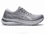 Asics Gel Kayano 29 Zapatillas Running Yeso Plata