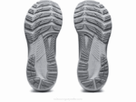 Asics Gel Kayano 29 Zapatillas Running Yeso Plata - Image 6