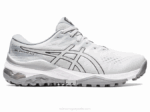 Asics Gel Kayano 2LVJ292 Zapatillas Gris Glaciar Plata Pura