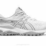 Asics Gel Kayano 2LVJ292 Zapatillas Gris Glaciar Plata Pura