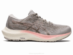 Asics Gel Kayano Lite 3 Zapatillas Gris Ostra Rosa Helado Comodidad y Estilo