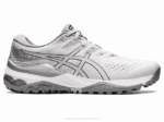 Asics Gel Kayano Zapatillas Gris Glaciar Plata Pura