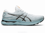 Asics Gel Nimbus 24 Zapatillas Acero Claro Blanco Comodidad y Estilo