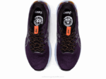 Asics Gel Nimbus 24TR Baño Natural Sombra Nocturna Ideal para Correr - Image 6