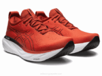 Asics Gel Nimbus 25 Zapatillas Latte de Especias y Negro - Image 2