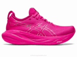 Asics Gel Nimbus 25 Zapatillas Rosa Rave Plata Pura