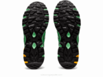 Asics Gel Sonoma 15-50 GTX Ramo Grafito Azul - Image 7