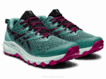 Asics Gel Trabuco 10 Zapatillas Salvia y Negro para Aventura - Image 2