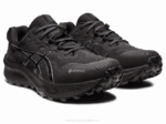 Asics Gel Trabuco 11 GTX Zapatillas Negro Gris Aventura - Image 2