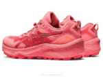 Asics Gel Trabuco 11 Zapatillas Pomelo Rosa Hiedra Trail Running - Image 3