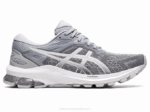Asics gt-1000 10 Zapatillas Gris Piedmont Plata Ideal para Correr