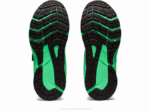 Asics GT-1000 11 Zapatillas Preescolar Gris Grafito Hoja Nueva - Image 6