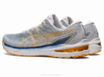 Asics gt-2000 10 Zapatillas Acero Claro Ámbar para Correr - Image 3
