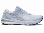 Asics gt-2000 10 Zapatillas Cielo Suave Plata Pura