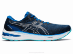 Asics gt-2000 10 Zapatillas de Correr Lago Blanco
