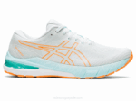 Asics gt-2000 10 Zapatillas Mar Relax Estallido Naranja
