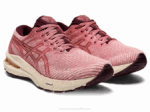 Asics gt-2000 10 Zapatillas Rosa Ahumado y Bronce Puro - Image 2