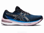 Asics gt-2000 10 Zapatillas Running Lago Blanco