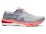 Asics gt-2000 10 Zapatillas Sombra Polar Niebla