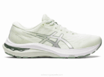 Asics gt-2000 11 Zapatillas Verde Susurro Plata Pura