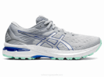 Asics gt-2000 9 Zapatillas Gris Piedmont Plata Pura Comfort y Estilo