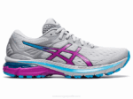 Asics gt-2000 9 Zapatillas Gris Piedmont UVA Digital