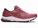 Asics gt-xpress 2 Zapatillas Rosa Ahumado Bronce Puro