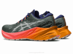Asics Novablast 3TR Zapatillas Baño de Naturaleza Papaya - Image 3
